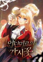 Adinmir’s Thorn Flower poster
