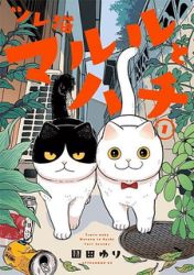 Cat Partners: Maruru And Hachi poster