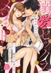 Dekiai Sex Method Elite Kare Wa Amasugi Seijuu, Tokidoki Uzai poster