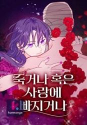 Fall in Love or Die poster