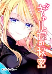 Gal Yome No Himitsu poster