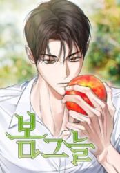 In The Shadow of The Spring Cover Image