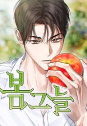 In the Spring Shadow Cover Image