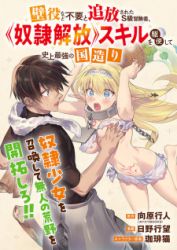 Kabeyaku Nado Fuyou to Tsuihousareta S-kyuu Boukensha, Skill wo Kushi shite Shijou Saikyou no Kunizukuri poster