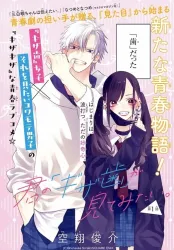 Kimi no “Gizaba” ga Mitemitai poster