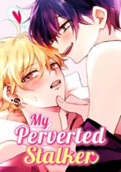My Perverted Stalker poster