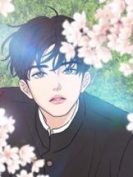 Not Blossom Cover Image