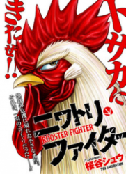 Rooster Fighter poster