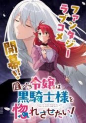 The Noble Lady on the Edge of the Cliff Wants to Make the Dark Knight Fall in Love! poster