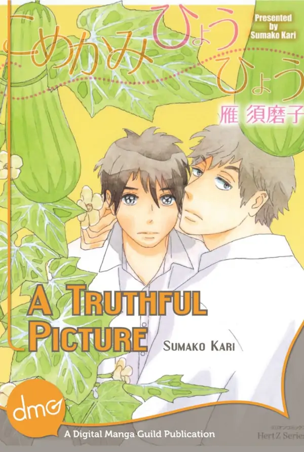 A Truthful Picture Cover Image