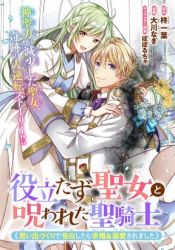 A Useless Saint and A Cursed Paladin Cover Image