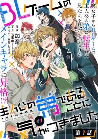BL Game no Shujinkou no Otouto de Aru Koto ni Ki ga Tsukimashita poster