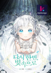 Into The Light Once Again Cover Image