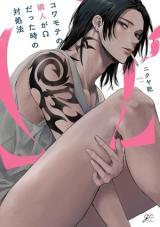 Kowamote no Rinjin ga Ω datta Toki no Taishohou poster