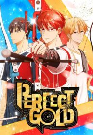 Perfect Gold poster