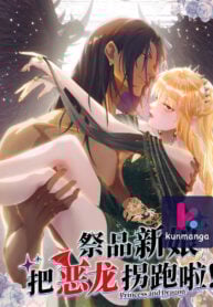 Princess and Dragon poster