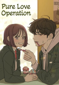 Pure Love Operation poster