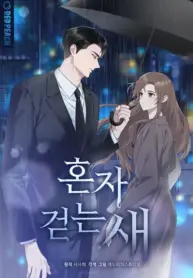 Solitary Bird Cover Image