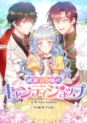The Cotton Candy Lady’s Candy Shop poster