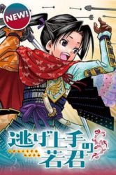 The Elusive Samurai poster